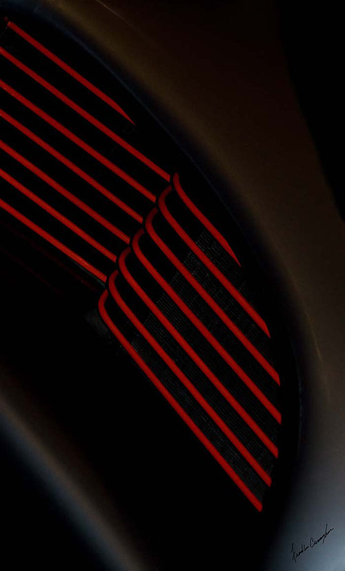 GILLS of BAT  FRANKLIN CUNNINGHAM PHOTOGRAPHY