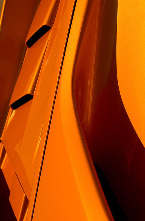 GOLDEN ROD  FRANKLIN CUNNINGHAM PHOTOGRAPHY