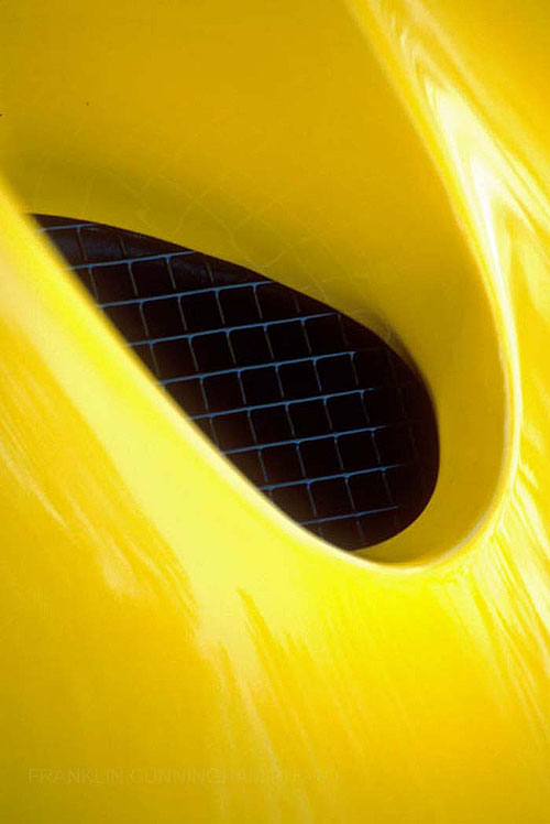 YELLOW  FRANKLIN CUNNINGHAM PHOTOGRAPHY